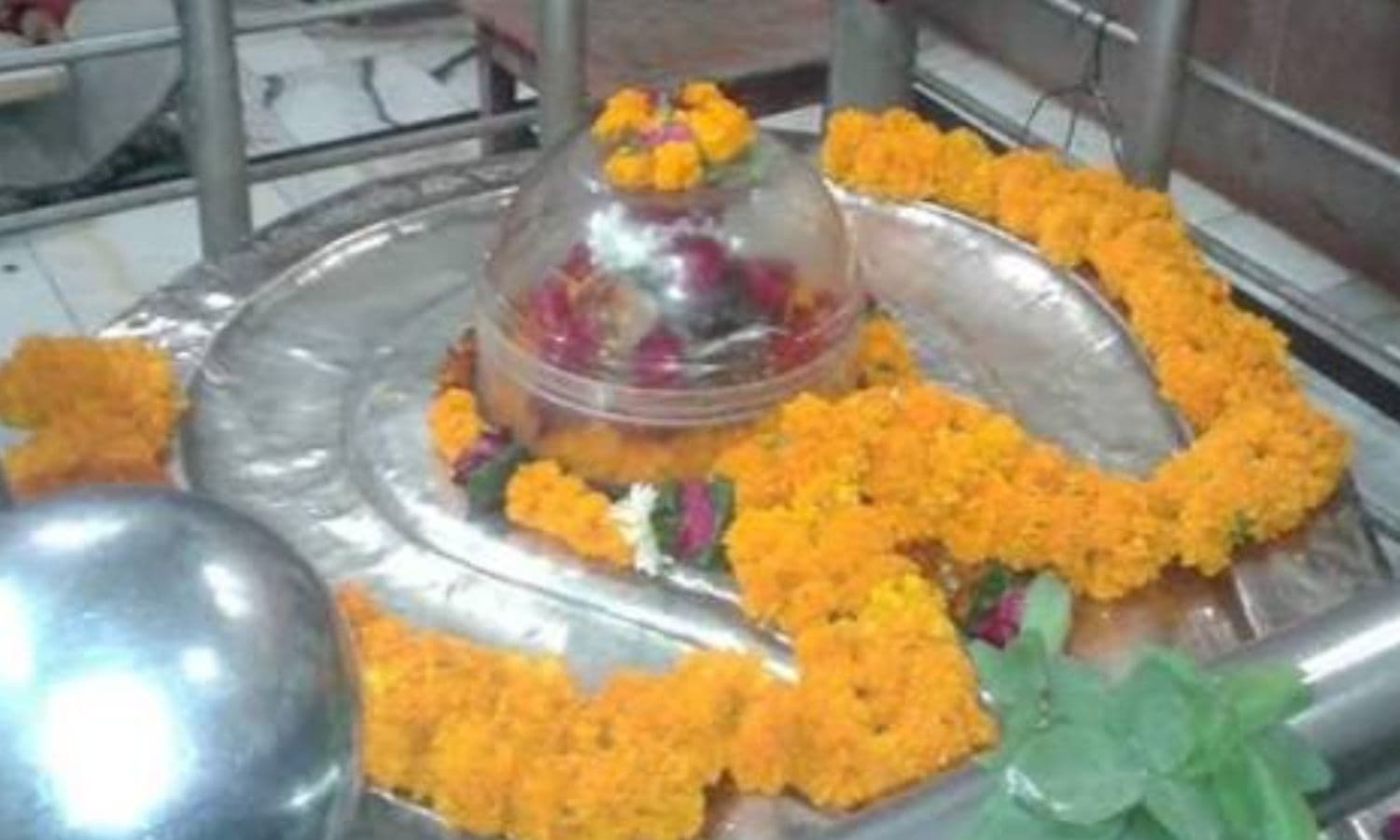 REWA SHIV TEMPLE: रीवा में 500 साल पुराने सफेद शिवलिंग के दर्शन को उमड़े हजारों भक्त; जाने मंदिर का सफेद शिवलिंग क्यों है इतना खास?
